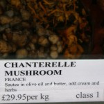 chanterelle